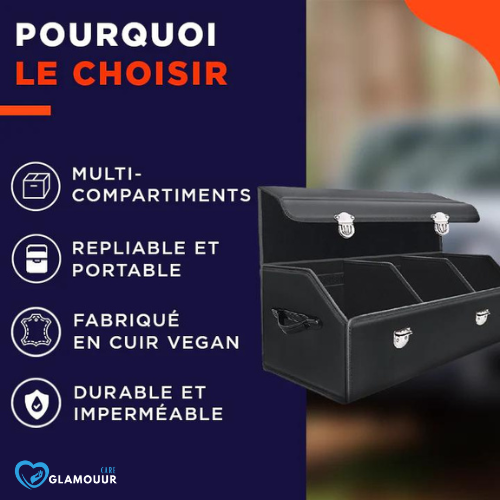 BoxDrive™ Boîte de rangement Lux Pour coffre de voiture