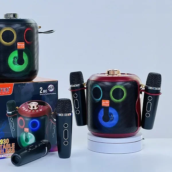 Haut-parleur Karaoké Portable Bluetooth – 2 Micros, USB, AUX & Wi-Fi - Image 10