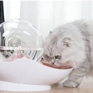 Fontaine à eau automatique 2.8L pour chat et chien